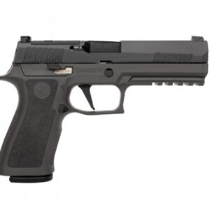 Left-side profile of a gray semi-automatic handgun (9mm) with textured grip and accessory rail.