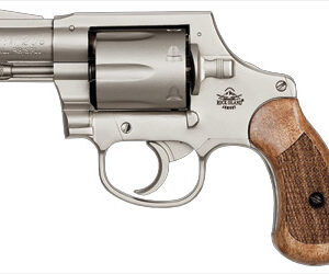RIA M206 Spurless Matte Nickel Handgun .38 Spl 6rd Capacity 2" Barrel