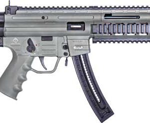 ATI German Sports Guns GSG-16 RIA Carbine .22 LR 22rd Magazine 16.25" Barrel Synthetic Stock Smoke Grey