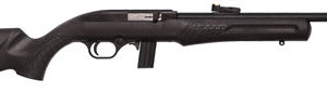 Rossi RS22  .22 LR 10rd Magazine 18" Barrel Black Synthetic