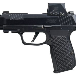 SIG P365 LUX 380ACP 3.1" BL 12R RXSL