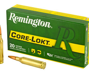 Remington Core-Lokt Rifle Ammunition .243 Win 100 gr PSP 2960 fps 20/ct