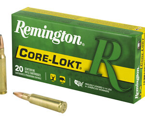 Remington Rifle Ammunition .250 Savage 100 gr PSP 2820 fps 20/ct