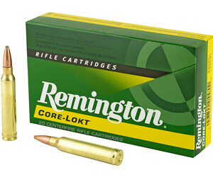 Remington Core-Lokt Rifle Ammunition .300 Win Mag 180 gr PSP 2960 fps 20/ct