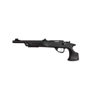 Keystone Sporting Arms Crickett Adult Pistol