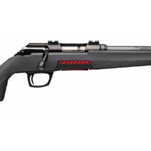 WINCHESTER XPERT BR 17HMR