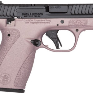 S&W BODYGUARD 2.0 380ACP 2.75"