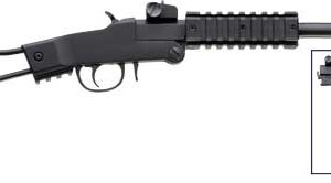 CHIAPPA LITTLE BADGER 22LR 16.5" BL