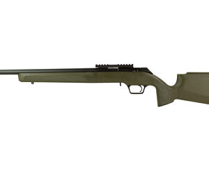 Springfield Armory 2020 Rimfire Target