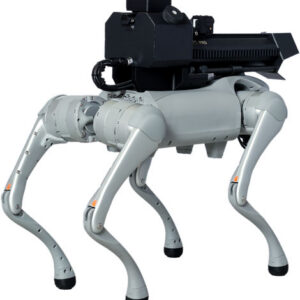 THROWFLAME THERMONATOR ROBOT