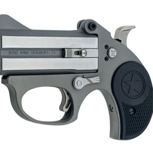 Bond Arms Stinger RS Handgun 22LR 2/rd 3" Barrel Silver with Black Grips