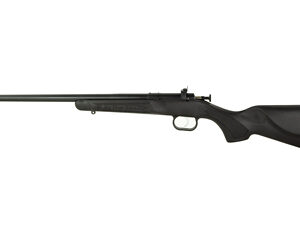 Crickett "My First Rifle" .22 LR 16" Barrel Synthetic Stock- Black